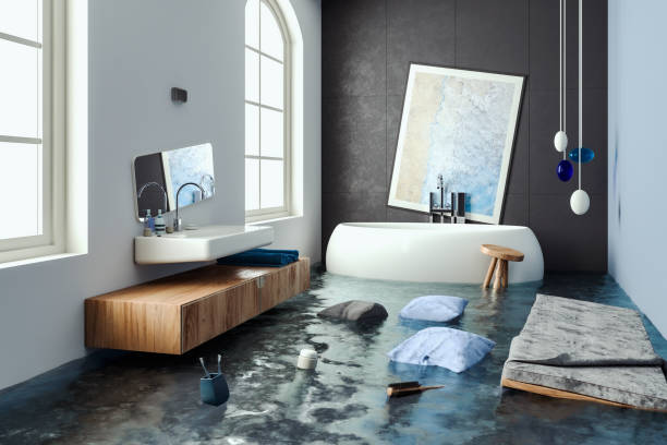 Best Professional water damage repair  in North Decatur, GA