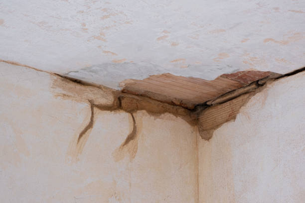 Best Water damage contractors near me  in North Decatur, GA