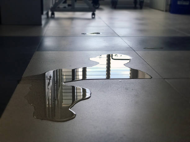 Best Water damage restoration near me  in North Decatur, GA