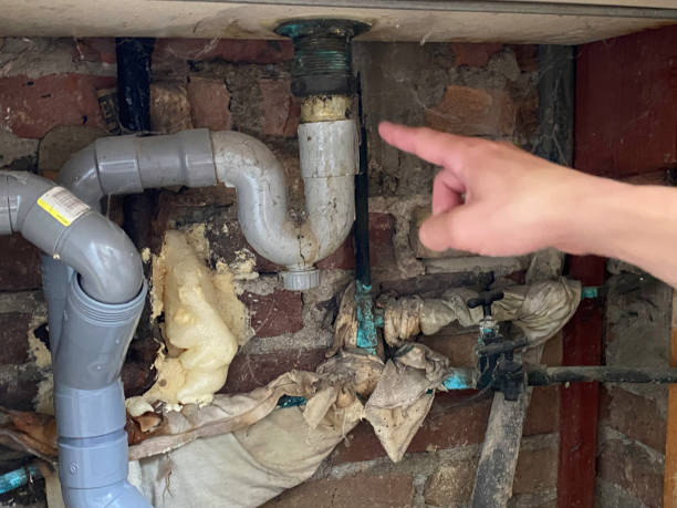 Best Carpet water damage restoration  in North Decatur, GA