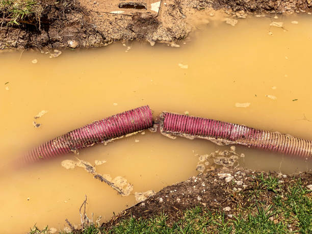Best 24/7 water damage repair  in North Decatur, GA