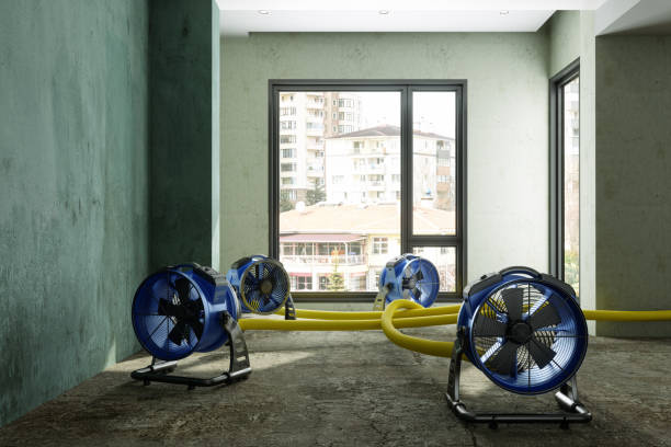 Best Professional water damage repair  in North Decatur, GA